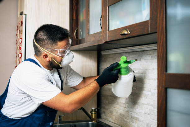 Best Wasp Removal Services  in Palo Alto, CA